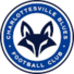 夏洛茨维尔蓝调 夏洛茨维尔蓝调
